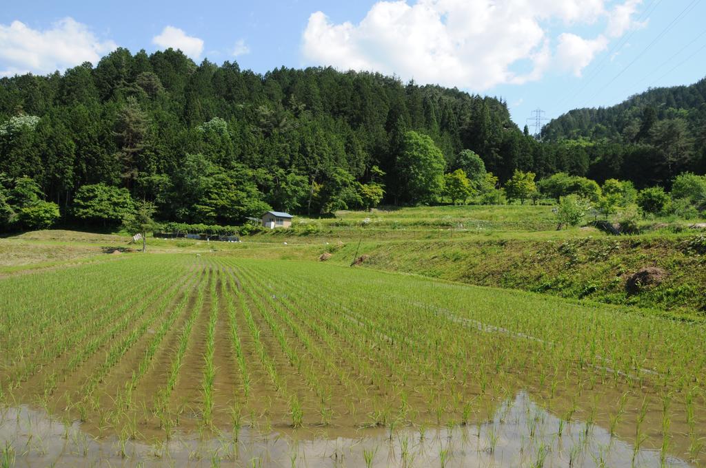 Sakura Guest House