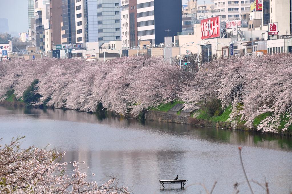 Sotetsu Fresa Inn Ochanomizu Jimbocho