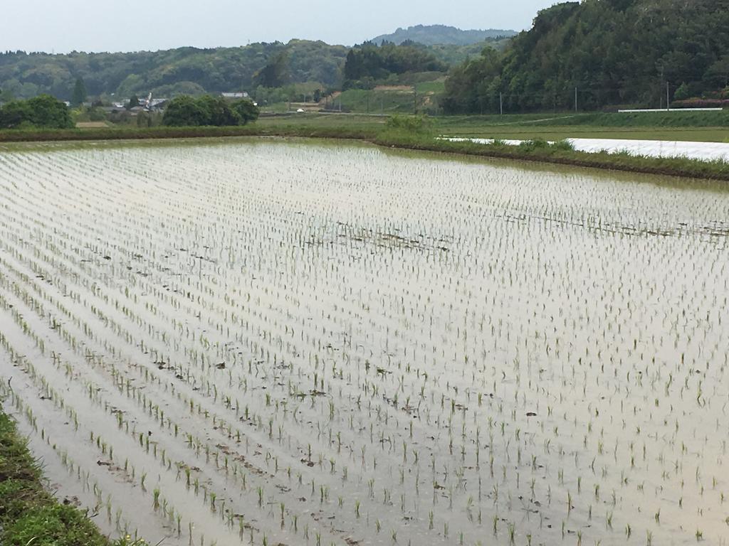 Beppu no Oyado Kagaya