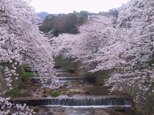 Kadonobo Ryokan