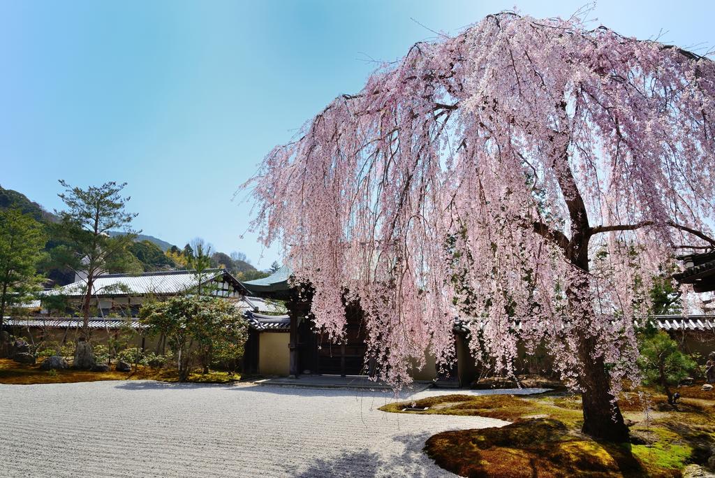 Sotetsu Fresa Inn Kyoto-Shijokarasuma