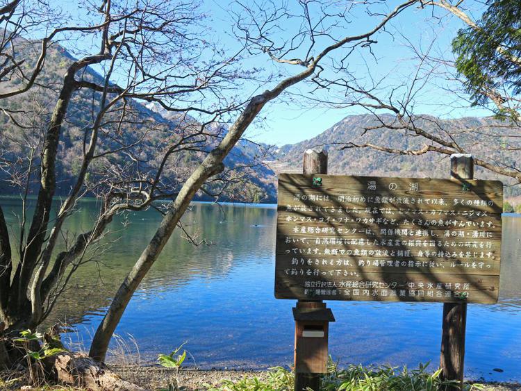 Okunikko Park Lodge Miyama