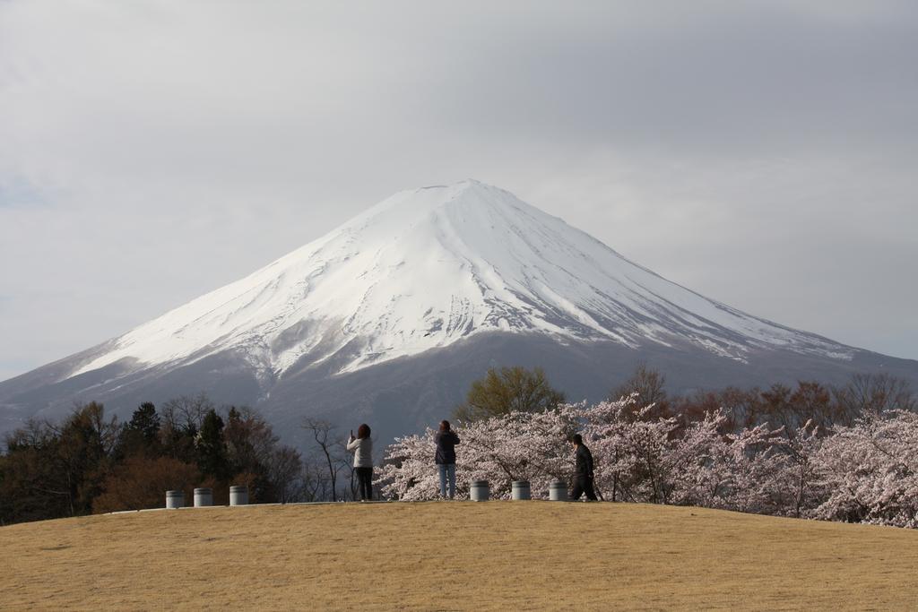 HOSTEL MICHIKUSA-YA