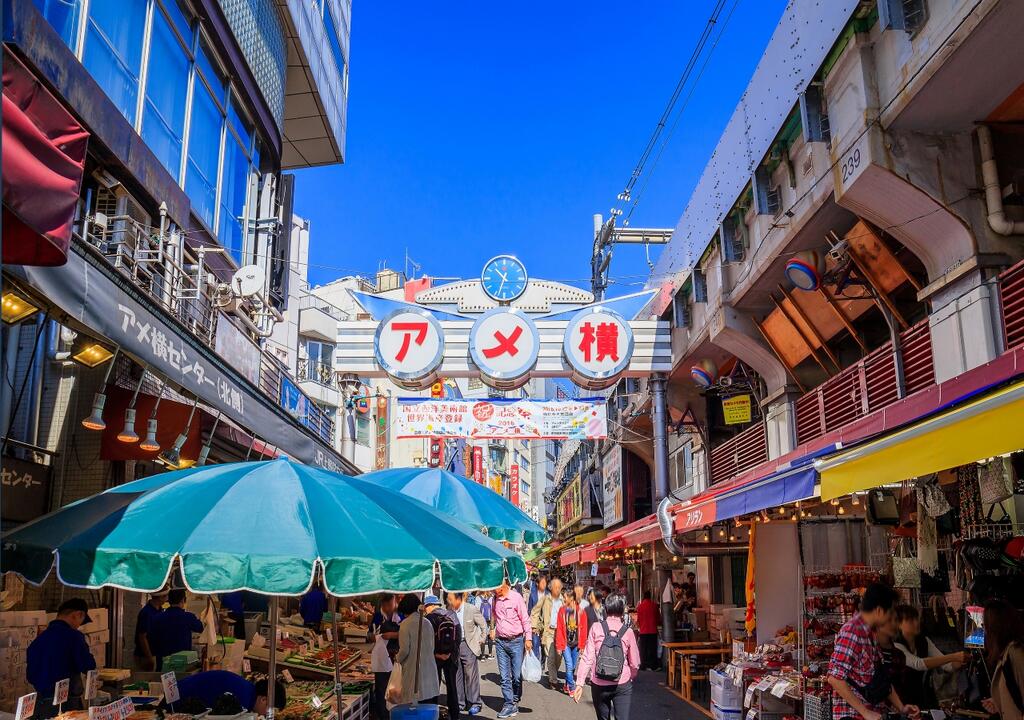 Sotetsu Fresa Inn Ueno-Okachimachi