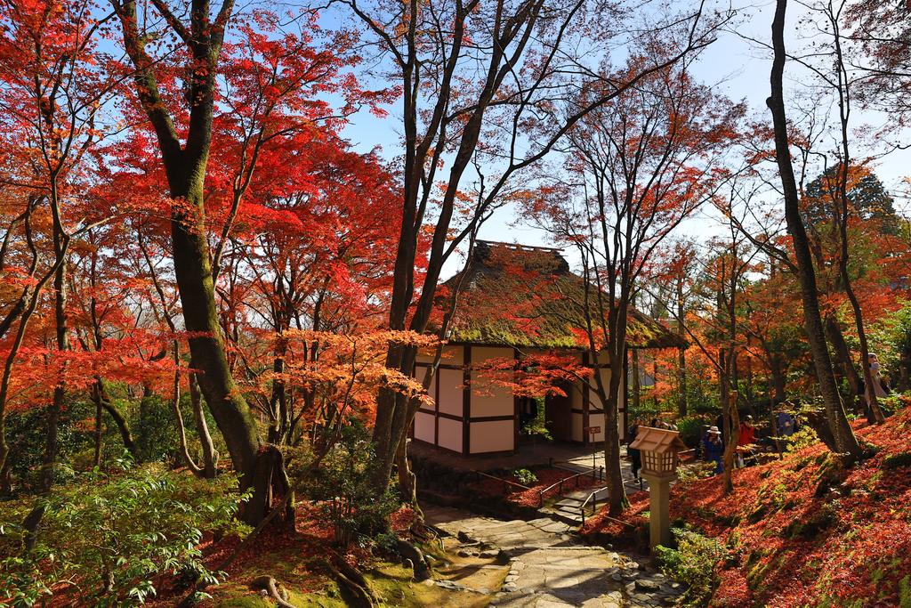 GuestHouse SagaArashiyama