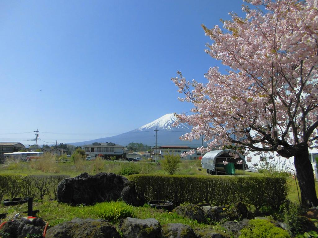 Hostel Fujisan FBH