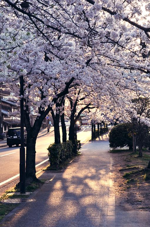 Kamo River Machiya Halo House