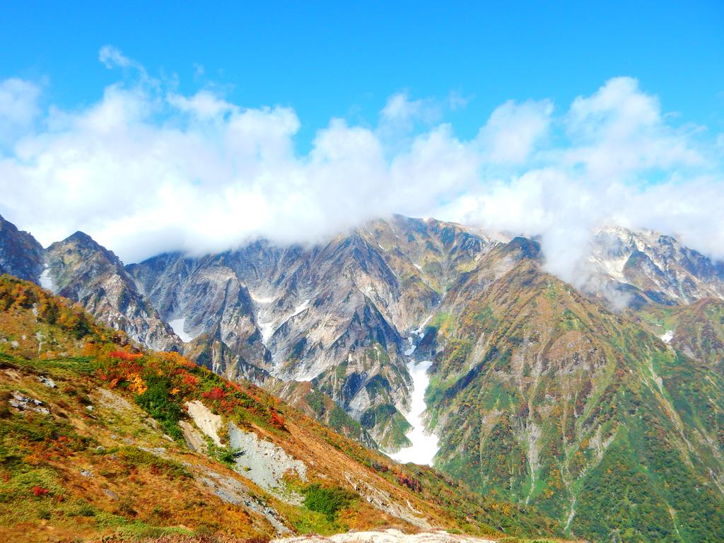 Schole Hakuba