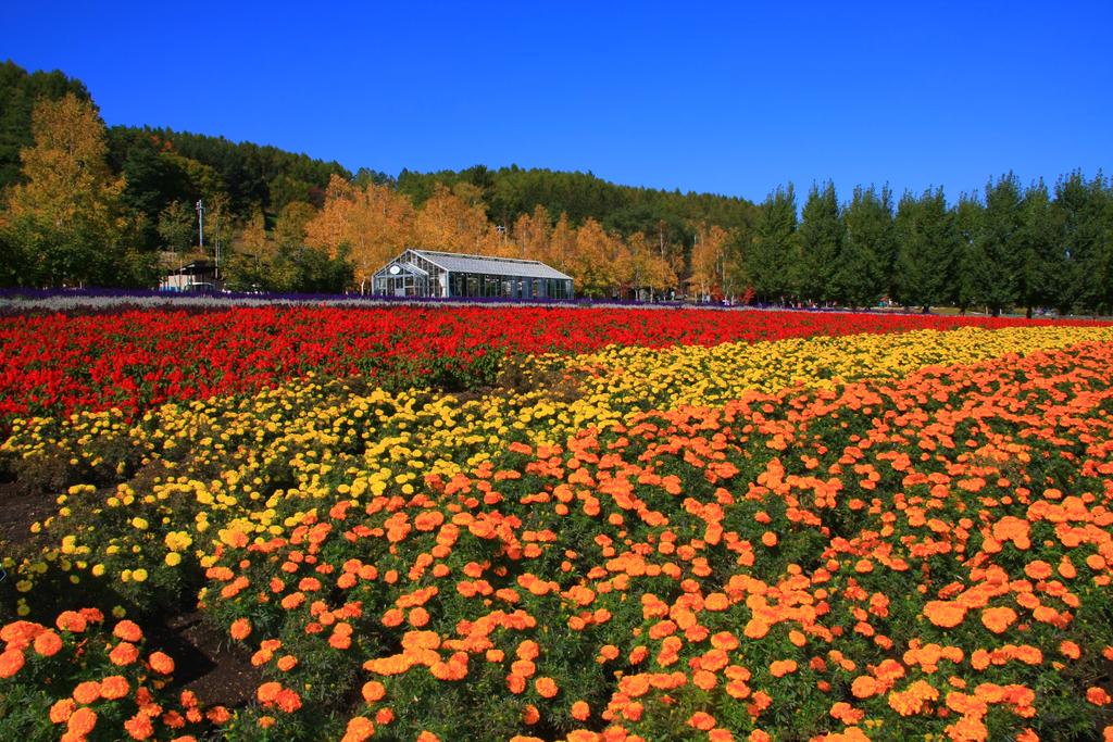 Brick House Furano