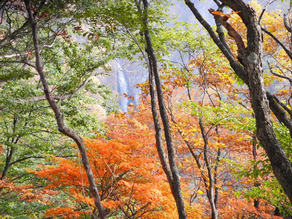 Yudanaka Onsen Yamazakiya