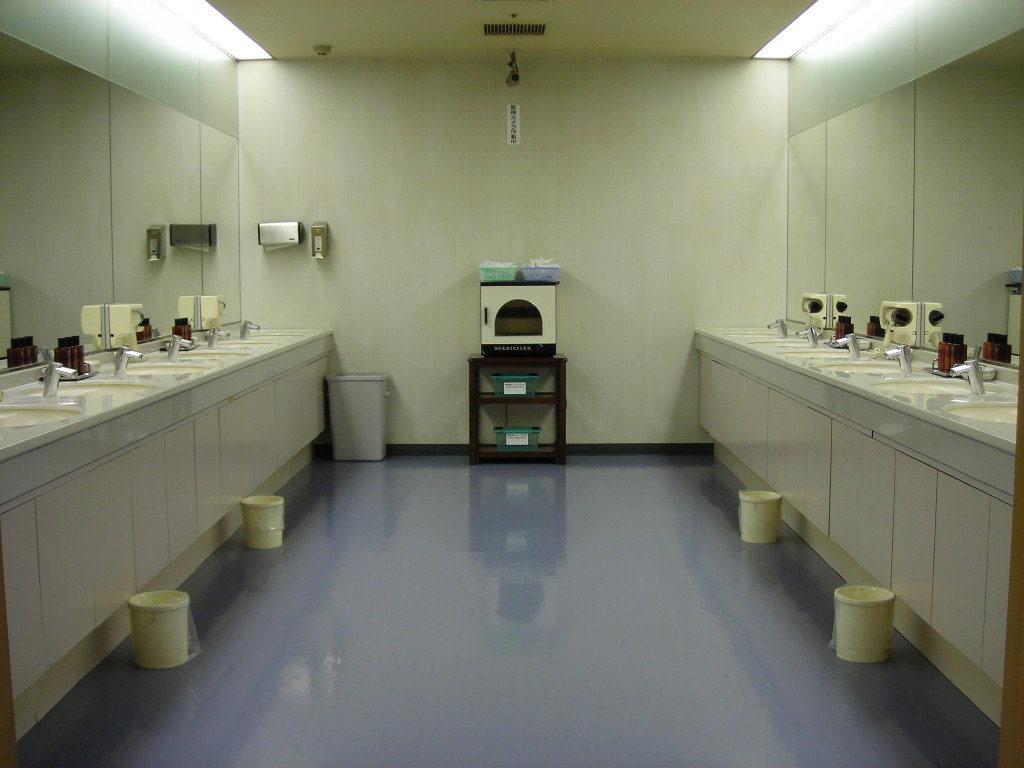 Capsule Inn Kamata