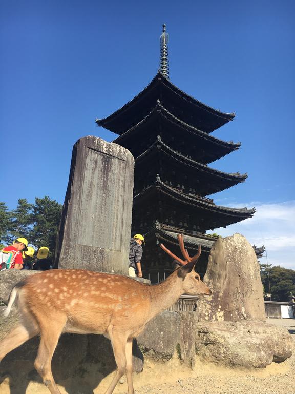 Family Inn Nara