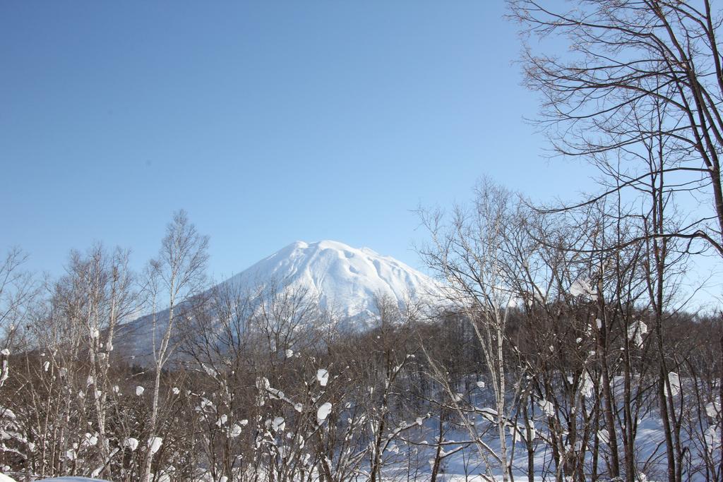 A1 Niseko