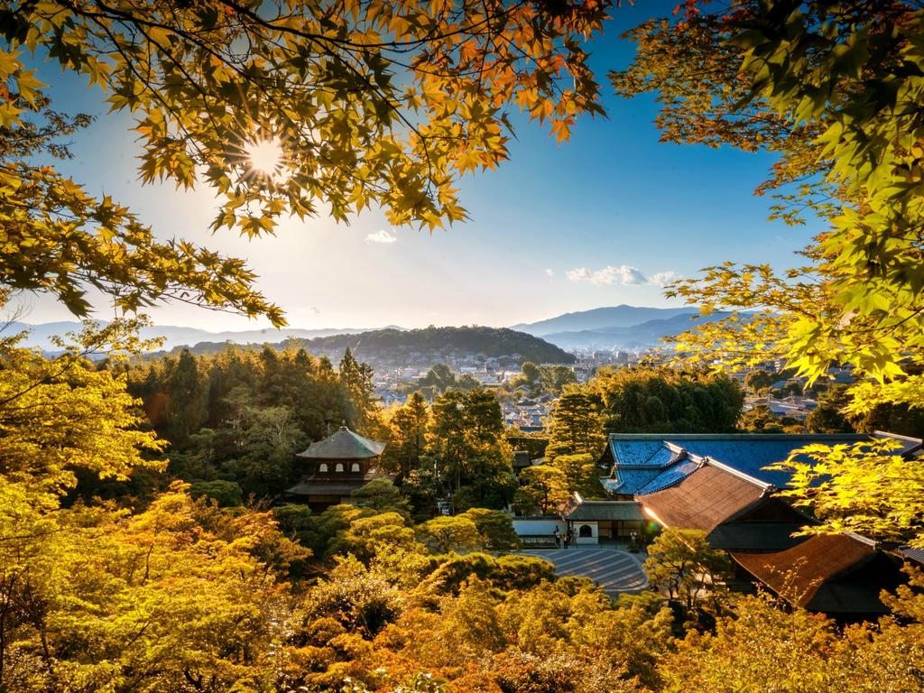 STAY KIYOMIZU GOJO