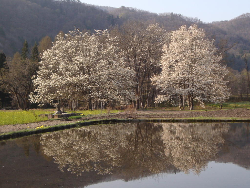 Hotel La Montagne Furuhata