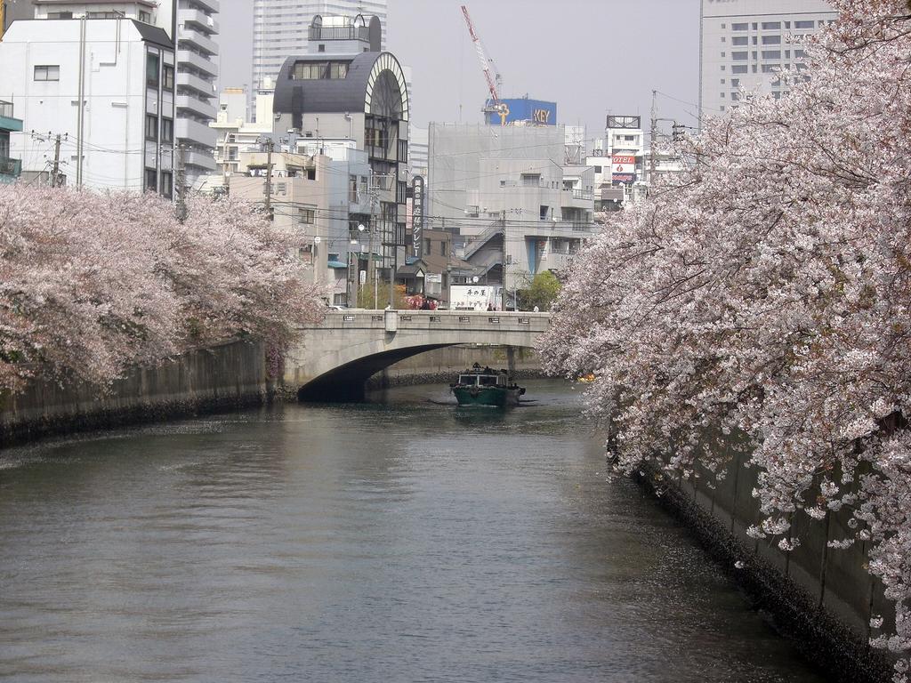 Tinys Yokohama Hinodecho