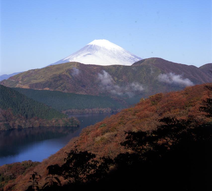 Taisho Modern Villa Zen