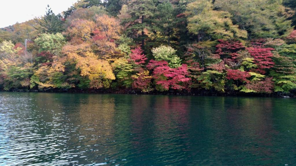 Little Forest Inn Nikko