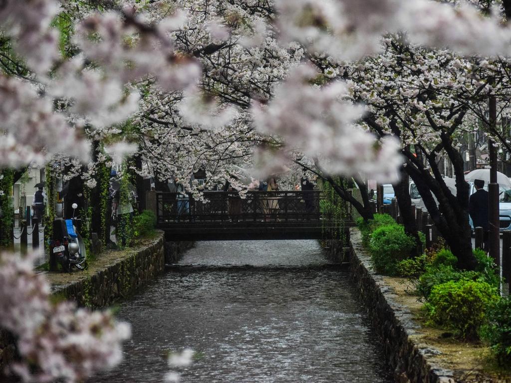 KYOTO MACHIYADO SHIJOKARASUMA