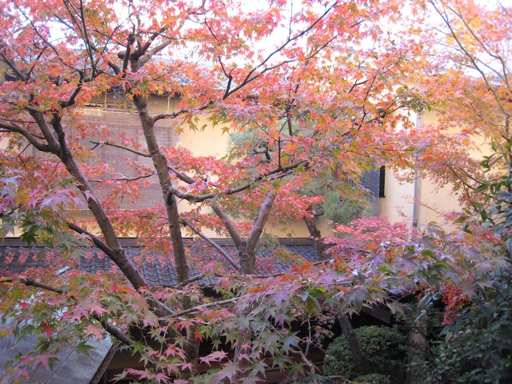 Kyoto Ryokan SAKANOUE