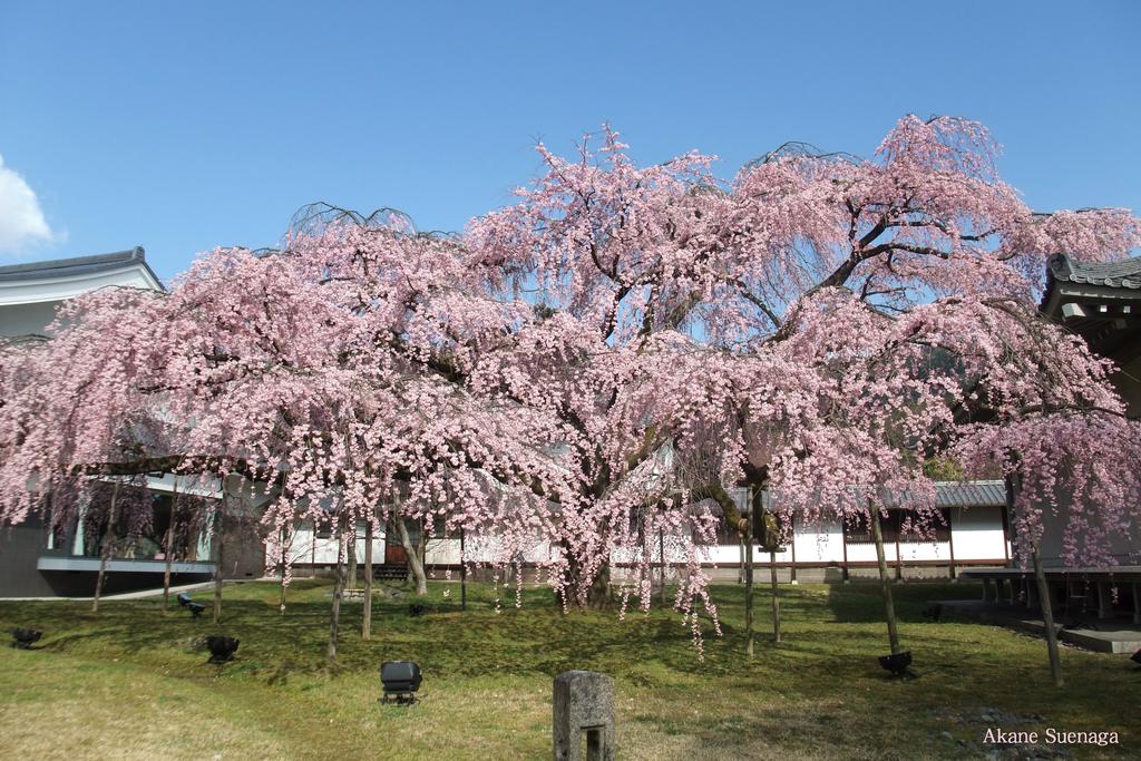 Kyoto Home Yoshida