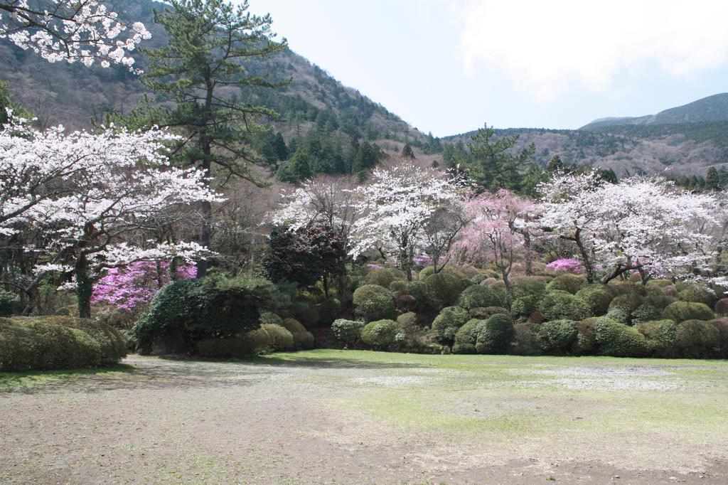 Hakone Kowakien Miyamafurin