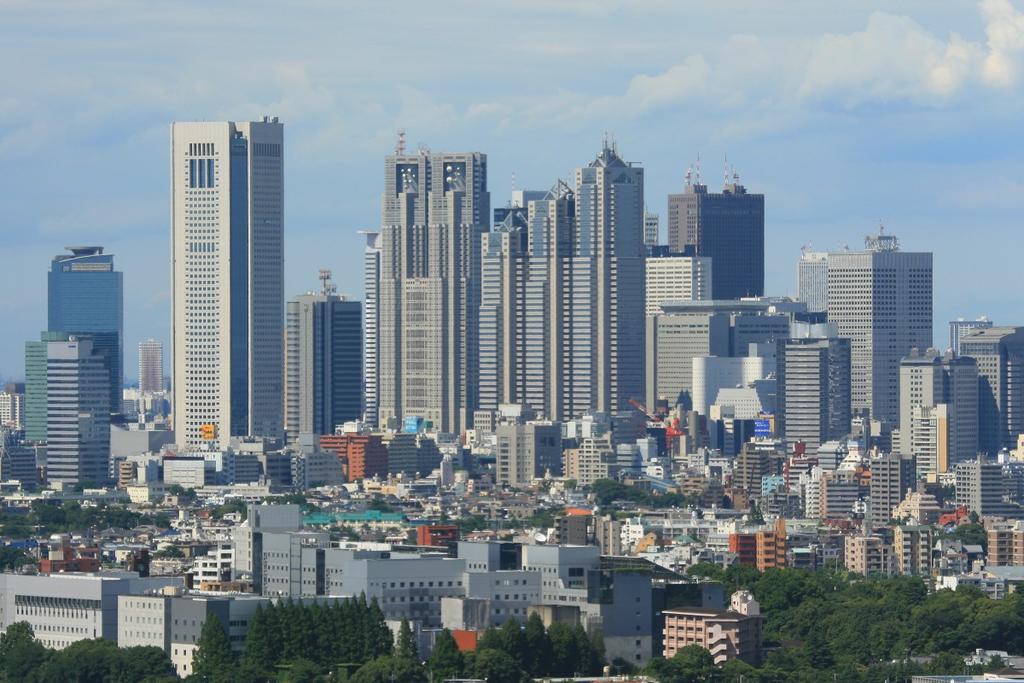 Tokyo Shinjuku house