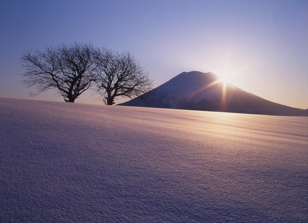 Niseko Prince Hotel Hirafutei