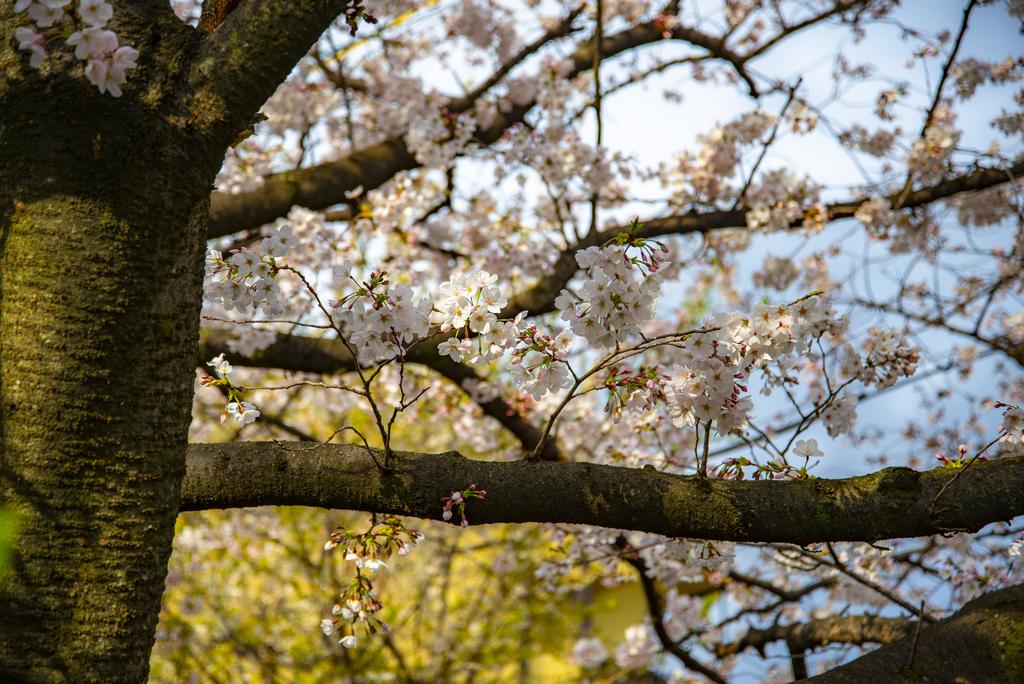 Kyoto Takasegawa Bettei