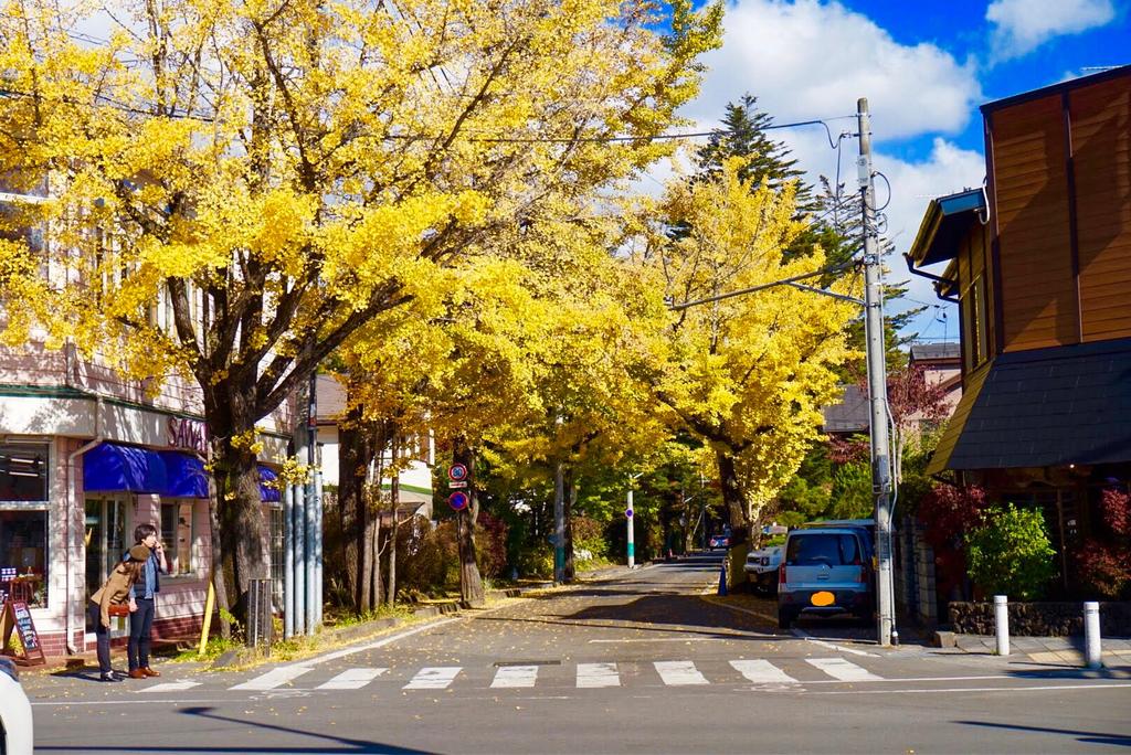 Karuizawa Pension Sato no Nukumori