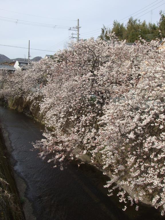 Kyoto Narutaki Keisenso