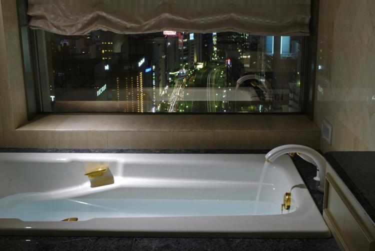 Dai-ichi Hotel Tokyo