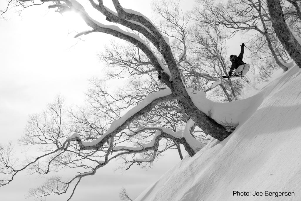 Morino Lodge - Hakuba