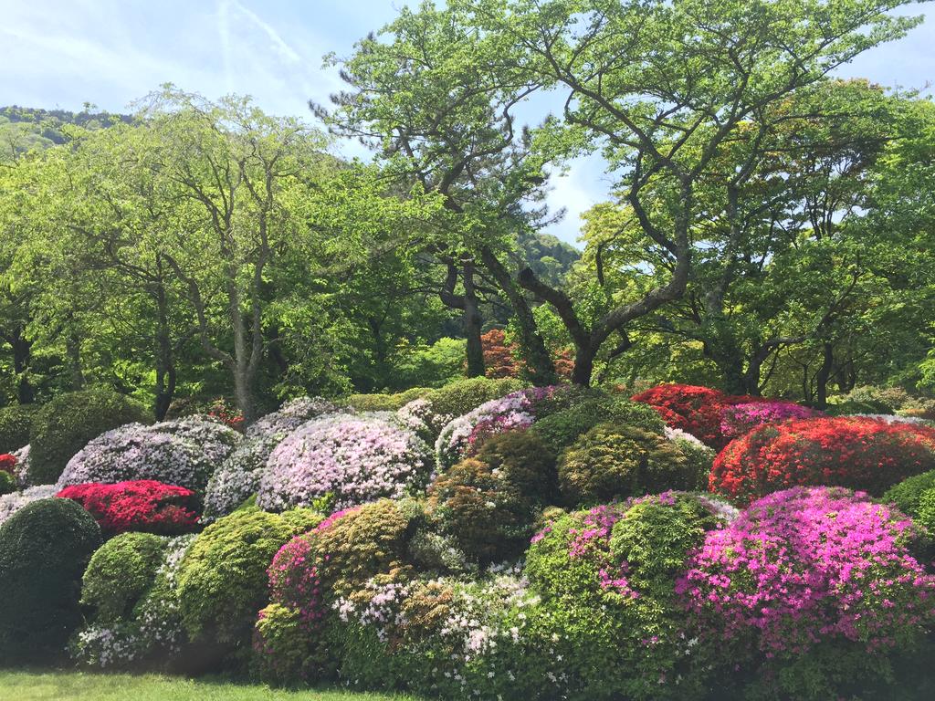 Hakone Kowakien Miyamafurin