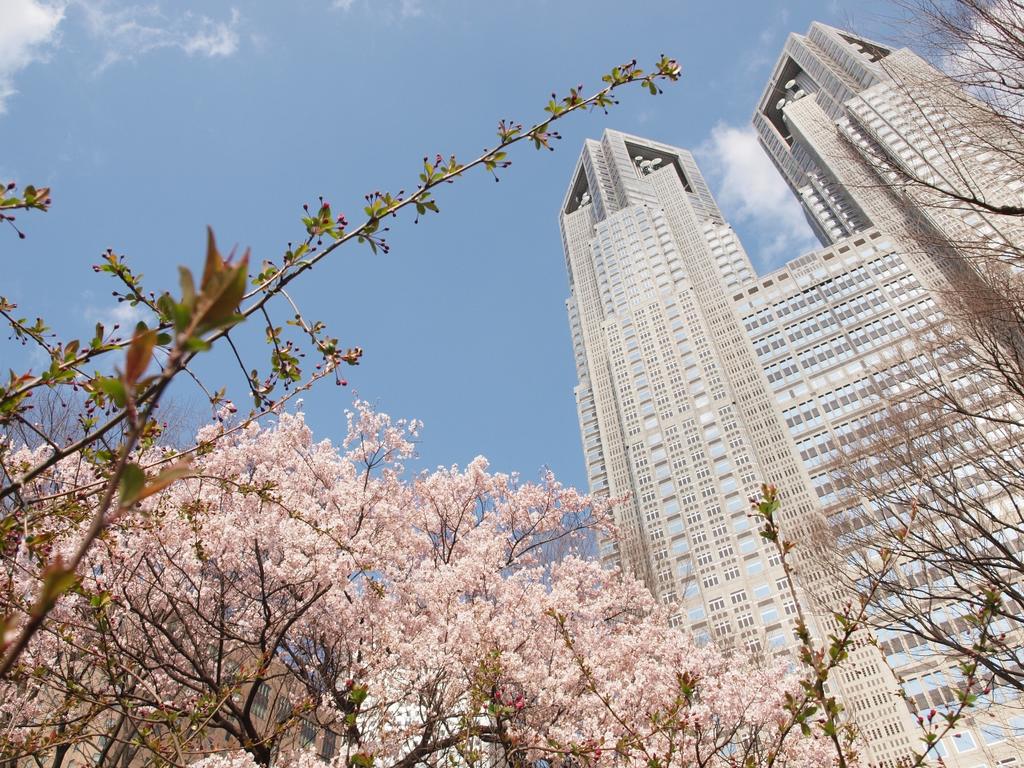 Shinjuku Private House