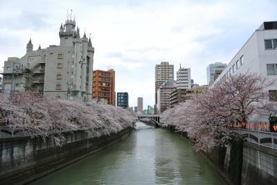 Meguro Emperor (Adult Only)