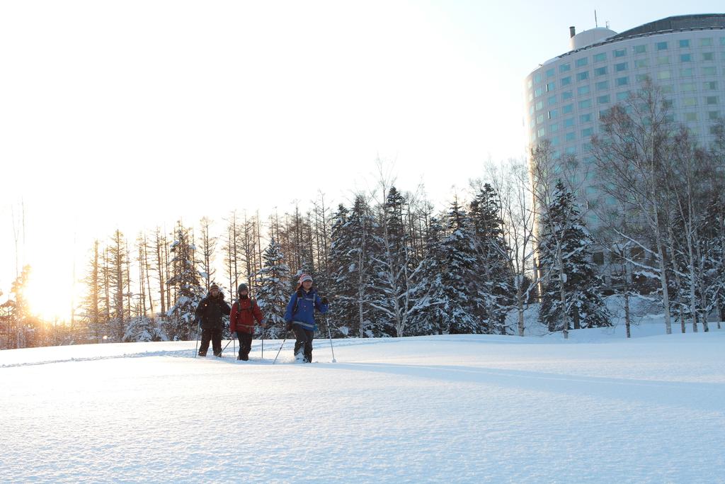 The Green Leaf, Niseko Village