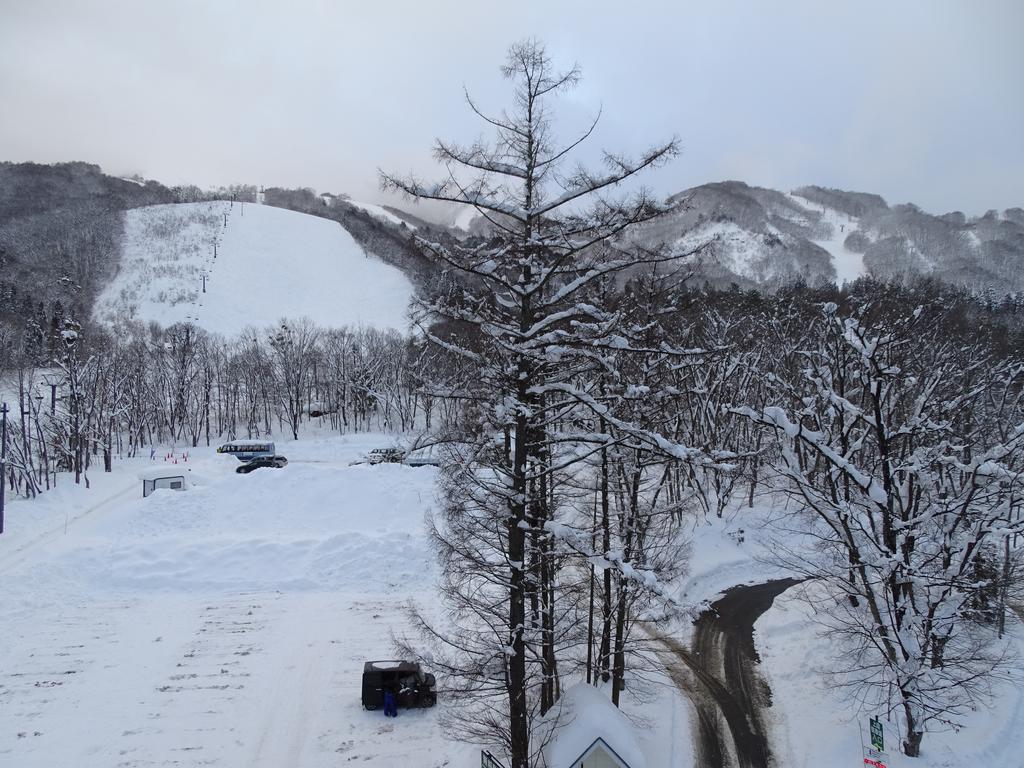 Mountain Side Hakuba