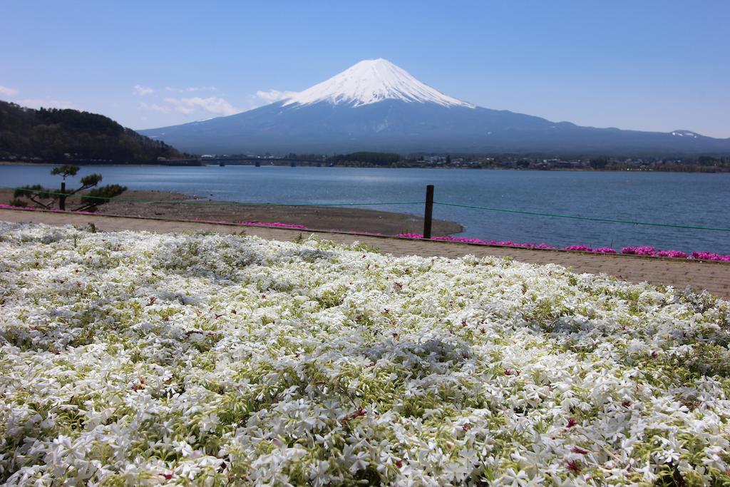 Ururun Kawaguchiko