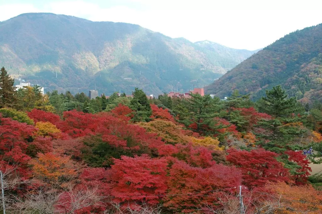 Hakone Kyuan