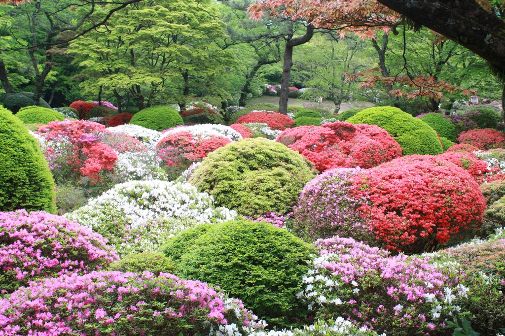 Hakone Kowakien Miyamafurin