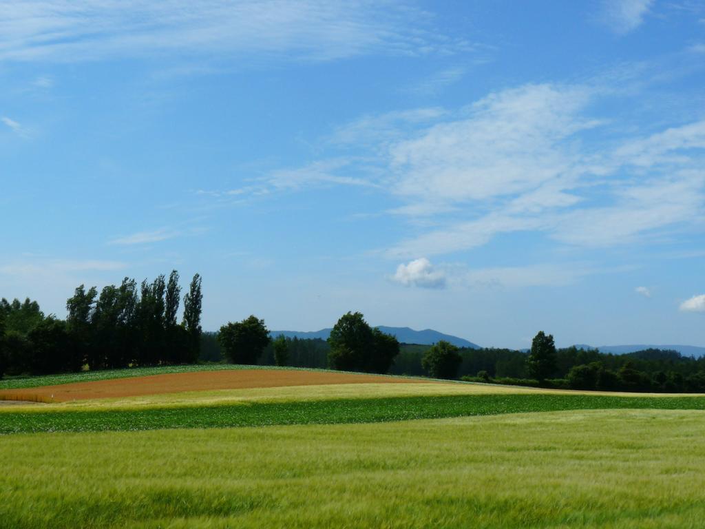 Furano Prince Hotel