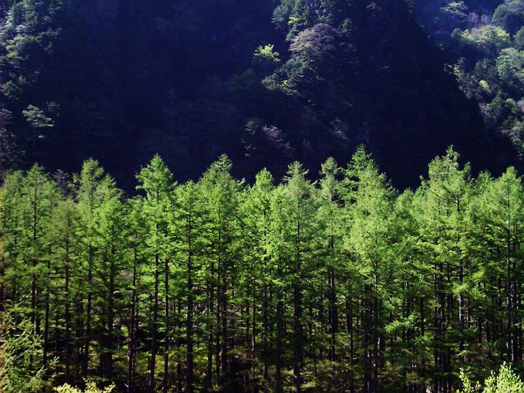 Kamikochi Nishi-itoya Mountain lodge