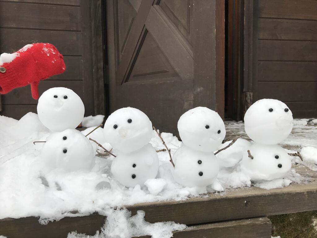 Hakuba Cottage Gram