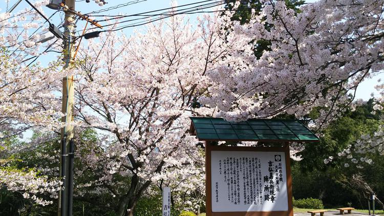 Umikaoru Yado Hotel New Matsumi