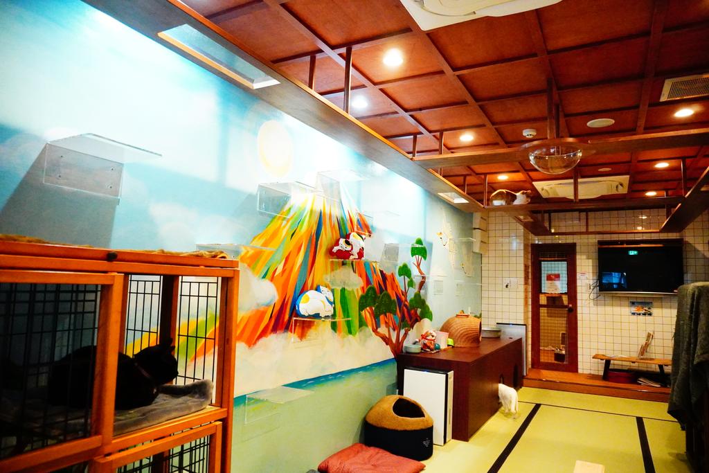 Cat Spa & Cat Ryokan by Neco Republic Osaka