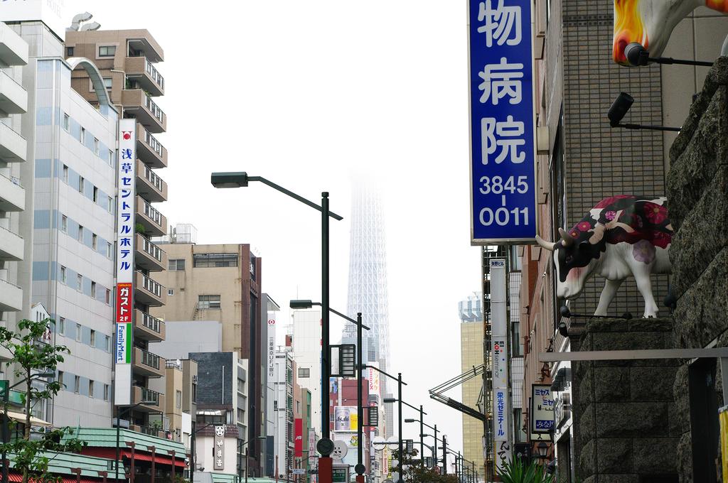 Asakusa 1976