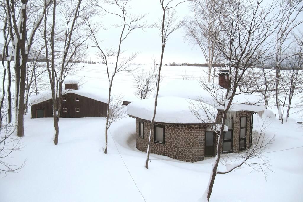 Tree Shell Niseko