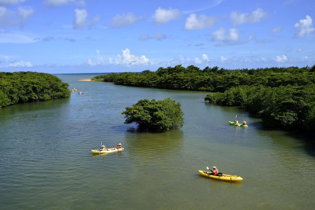 Okinawa EXES Ishigakijima