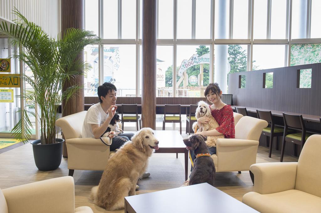 Izumigo Izukogen Dog Paradise Hotel